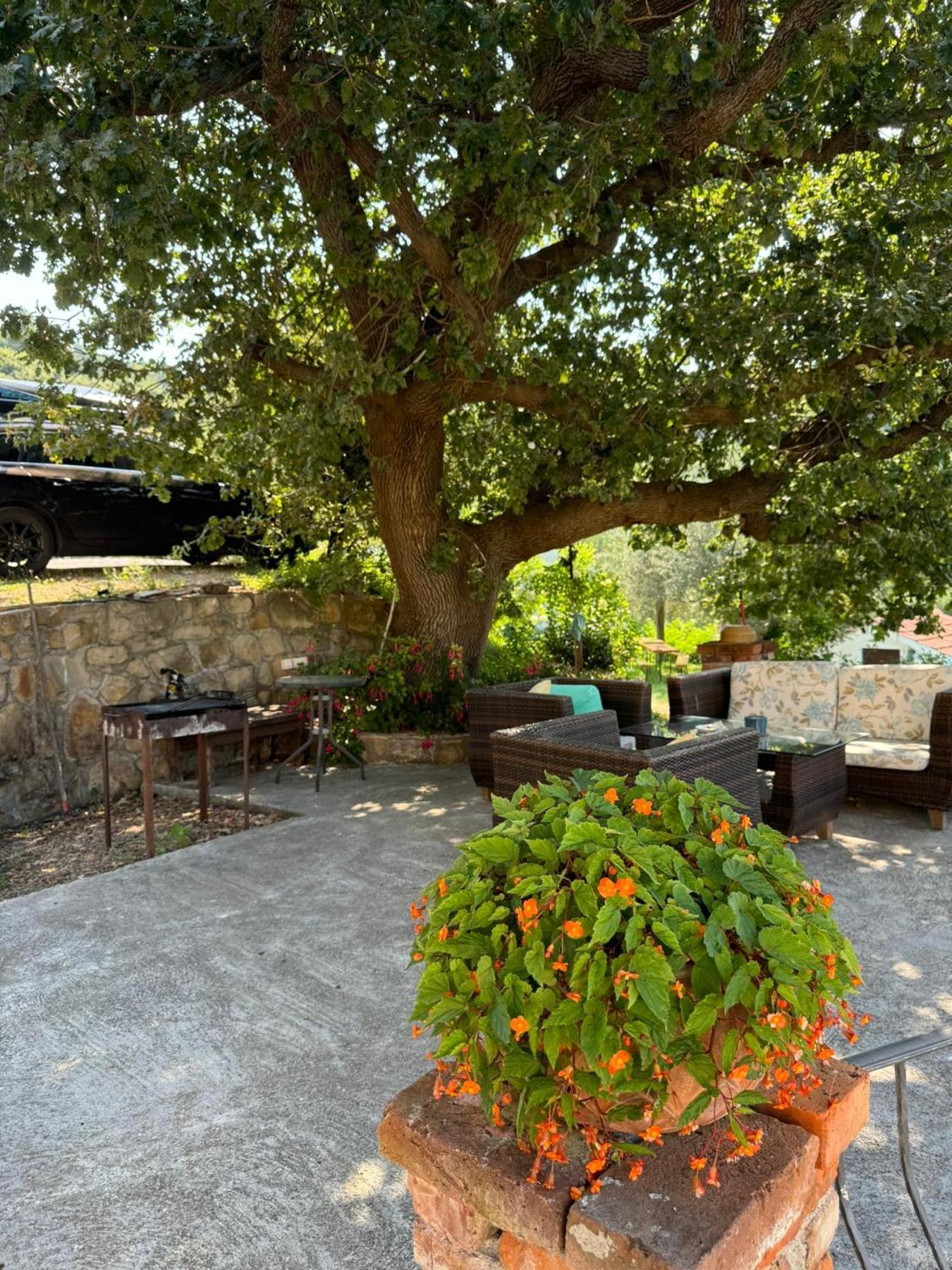 Apartments Dumicic Supetarska Draga Exterior photo